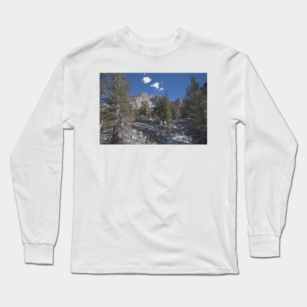 850_6898 Long Sleeve T-Shirt by wgcosby